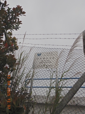 DSCN3441.JPG