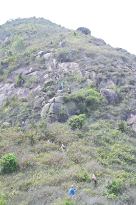 DSC_6102.JPG