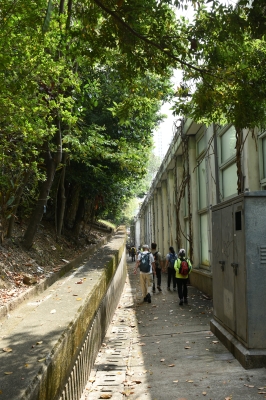 R06_0038.jpg