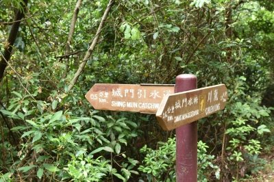 R06_0057.jpg