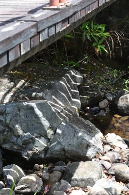R06_0085.jpg
