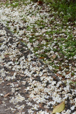 R06_0100.jpg