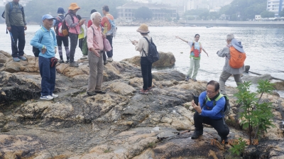 _DSF0092.JPG