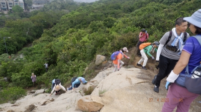 _DSF0138.JPG