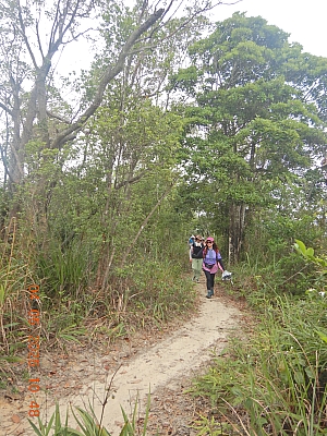 DSCN4333.JPG