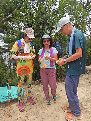 DSCN4350.JPG
