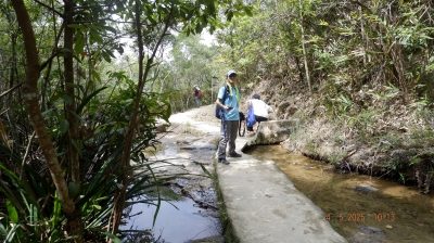 _DSF0131.JPG