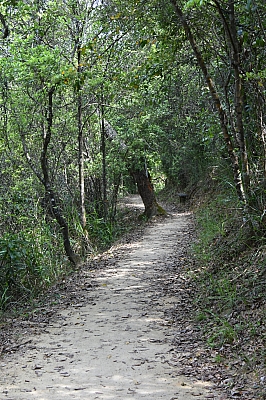 R06_0189.jpg