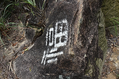 R06_0193.jpg