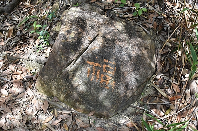 R06_0194.jpg