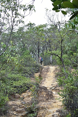 R06_0198.jpg