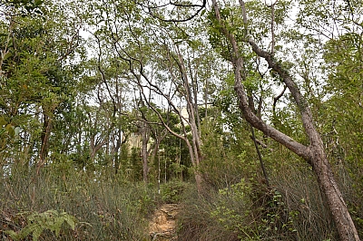 R06_0200.jpg