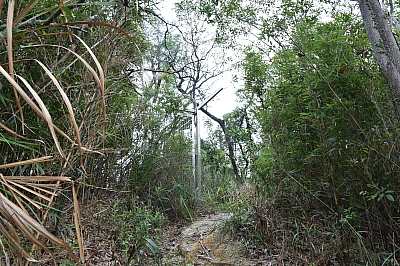 R06_0201.jpg