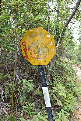 R06_0206.jpg