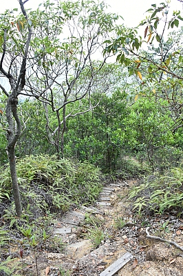 R06_0213.jpg
