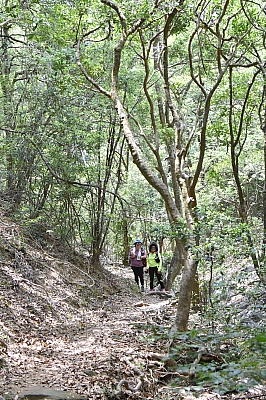 R06_0215.jpg
