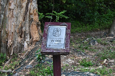 R06_0229.jpg