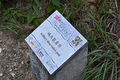 R06_0262.jpg