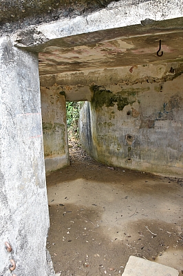 R06_0264.jpg