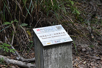 R06_0278.jpg