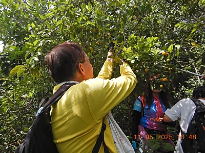 DSCN4449.JPG