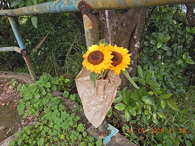 DSCN4467.JPG