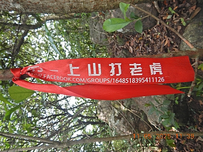 DSCN4468.JPG