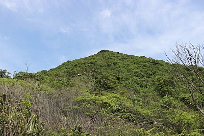 IMG_4013.JPG