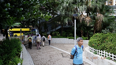 _DSF0082.JPG