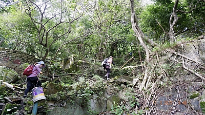 _DSF0093.JPG