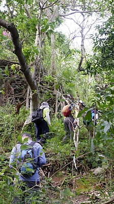 _DSF0097.JPG