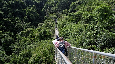 _DSF0102.JPG