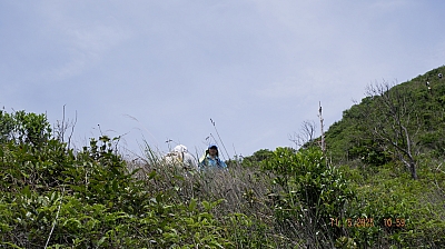 _DSF0110.JPG