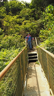 P5110568.JPG