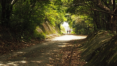 P5110590.JPG