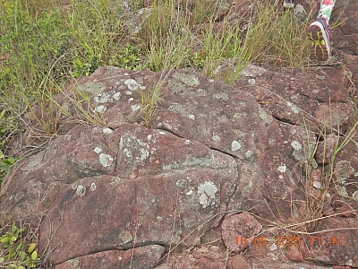 DSCN4600.JPG
