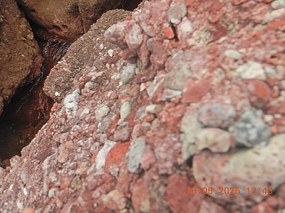DSCN4661.JPG