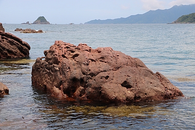 IMG_4503.JPG