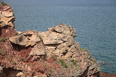 IMG_4575.JPG