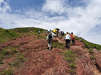 IMG_20250518_110509.jpg