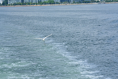 R06_0558.jpg