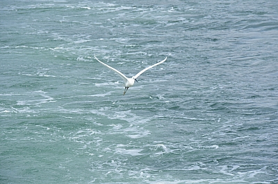 R06_0562.jpg