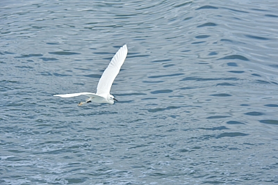R06_0566.jpg