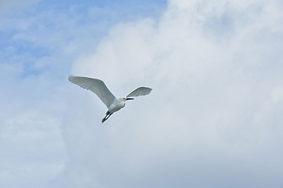 R06_0572.jpg