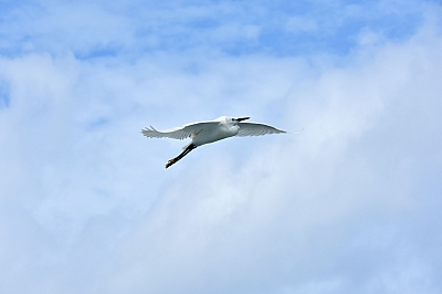 R06_0573.jpg