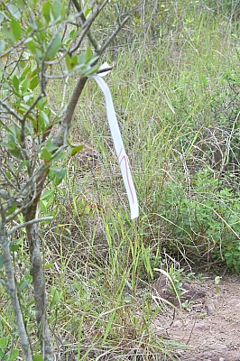 R06_0805.jpg