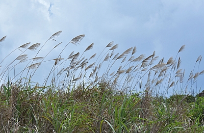 R06_0827.jpg