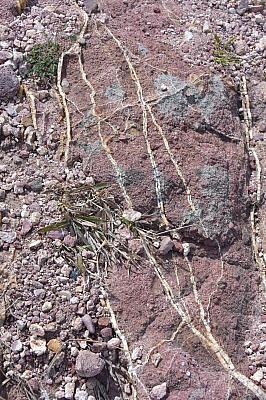 R06_0874.jpg