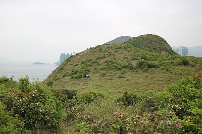 IMG_5116.JPG