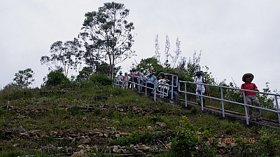 _DSF0080.JPG